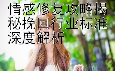 情感修复攻略揭秘挽回行业标准深度解析