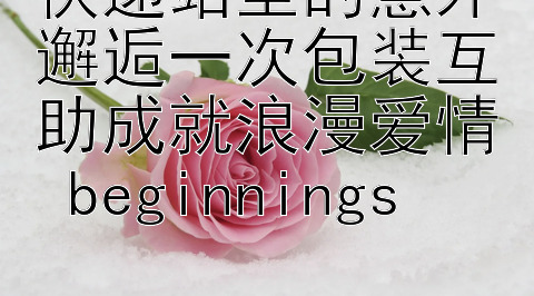 快递站里的意外邂逅一次包装互助成就浪漫爱情 beginnings