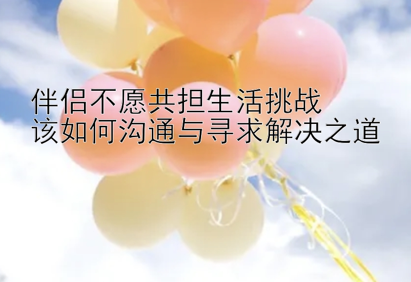 伴侣不愿共担生活挑战  
该如何沟通与寻求解决之道