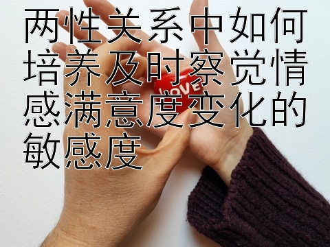 两性关系中如何培养及时察觉情感满意度变化的敏感度