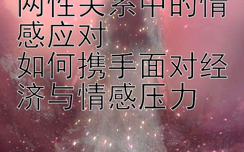 两性关系中的情感应对  
如何携手面对经济与情感压力