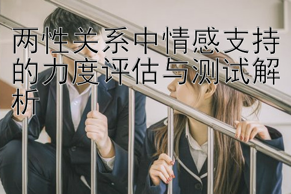 两性关系中情感支持的力度评估与测试解析