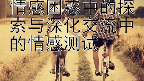 情感困惑中的探索与深化交流中的情感测试