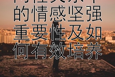 两性关系中的情感坚强重要性及如何有效培养